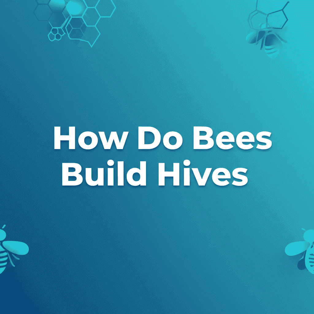 Bees Building Hives