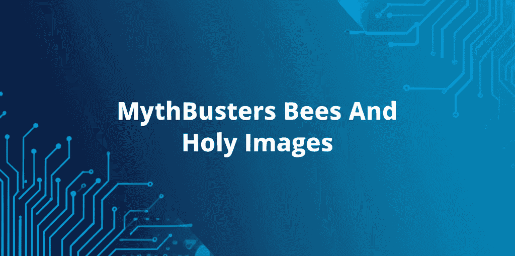 MythBusters Bees And Holy Images